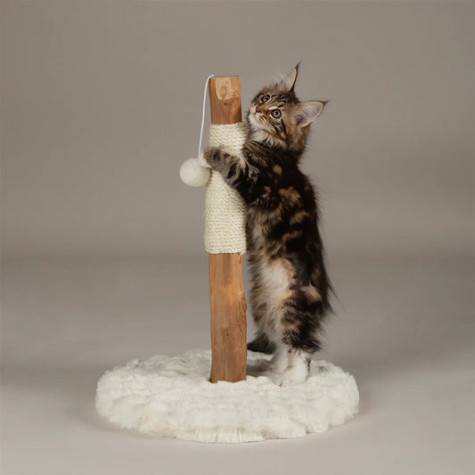 Scruffs Andes kitten scratching post in cream with kitten scratching sisal post