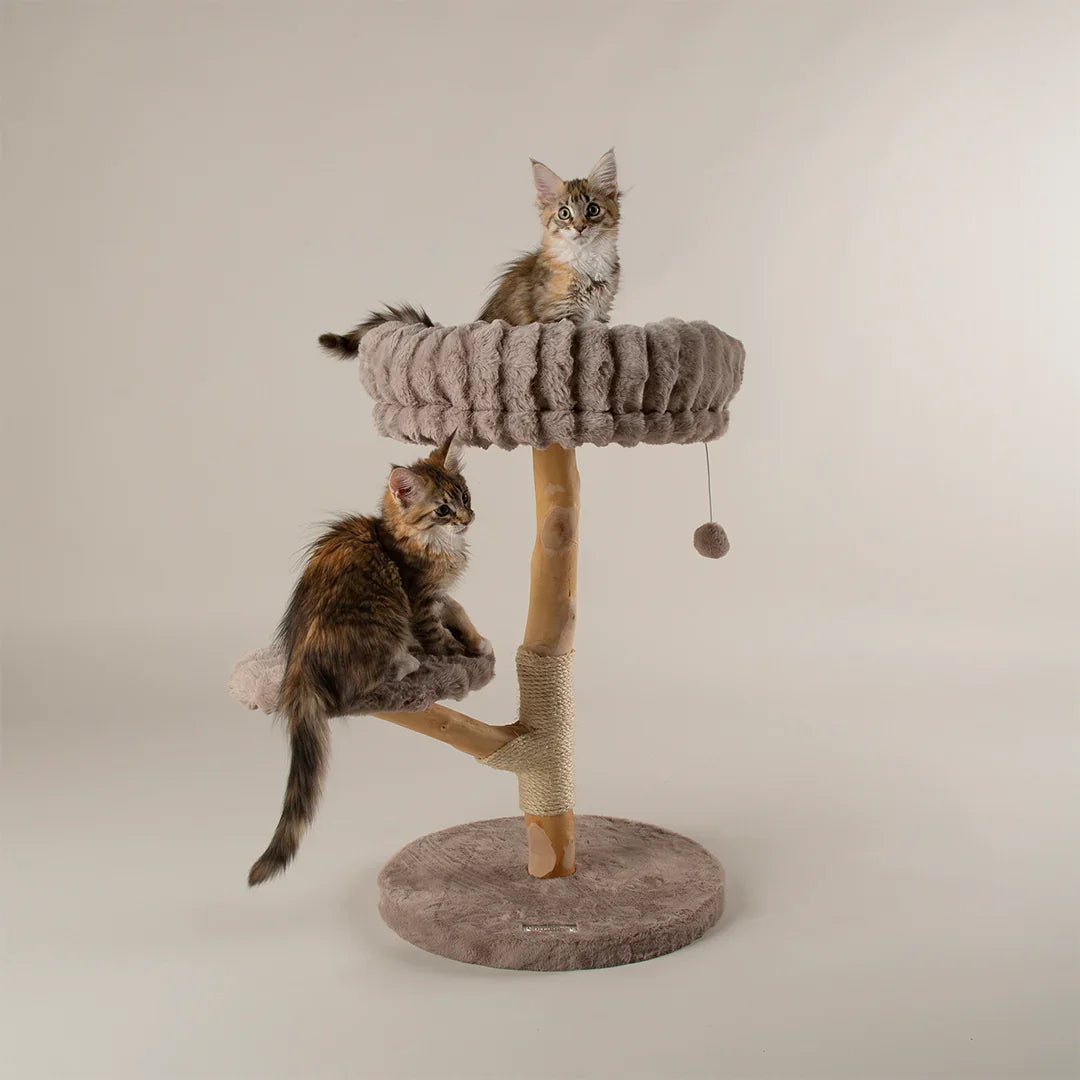 Scruffs Alpine Atlas taupe cat tree with top bed and side platform