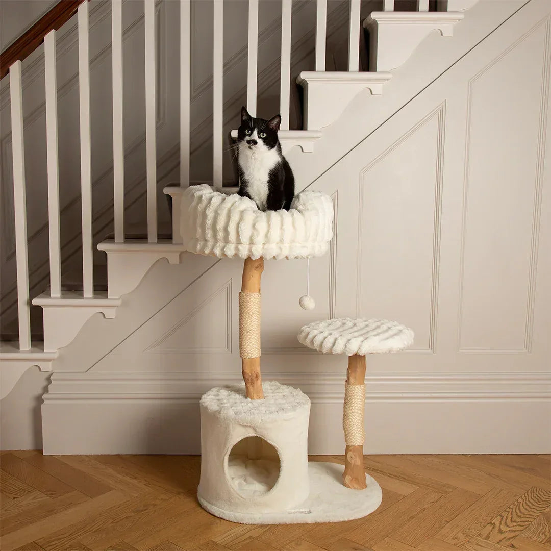 Scruffs Alpine Colorado cream cat tree placed in a hallway beside a staircase
