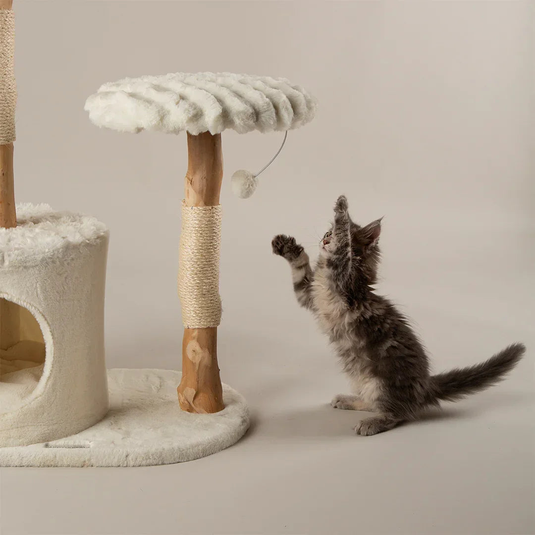 Kitten playing beside the Scruffs Alpine Colorado cream cat tree with hanging pom toy