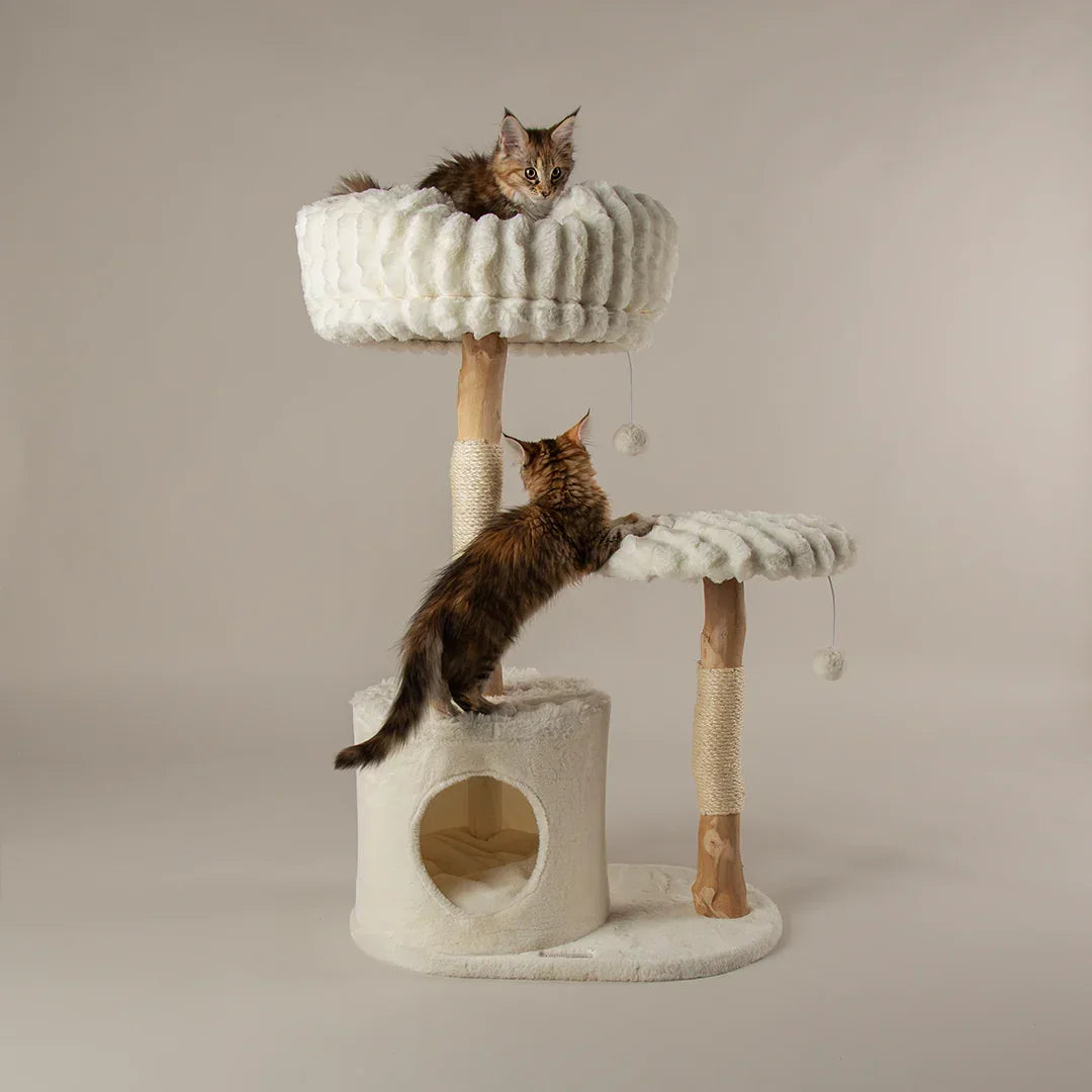 Scruffs Alpine Colorado cat tree in cream with two cats using the raised bed, perch, and cave