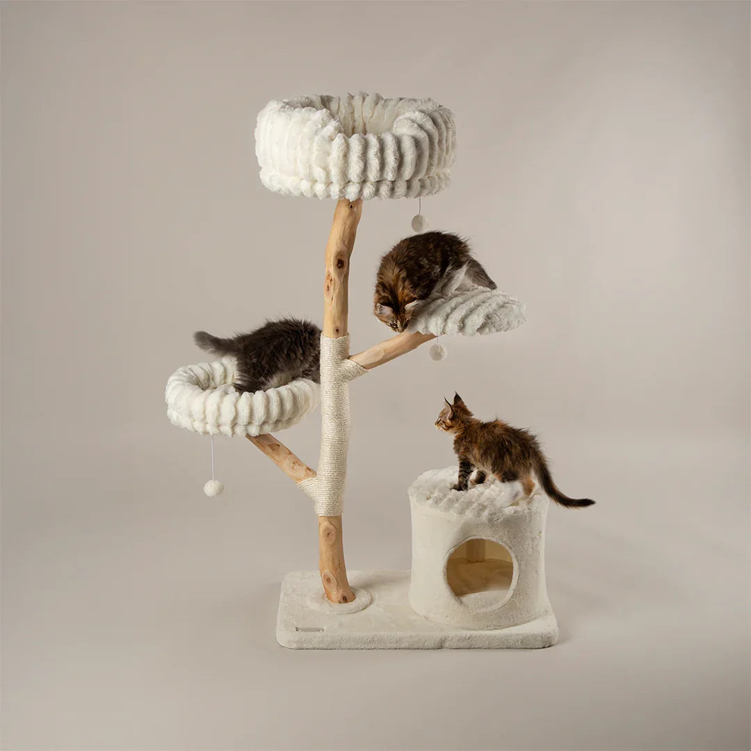 Three tier cat tree with beds and cave in cream finish