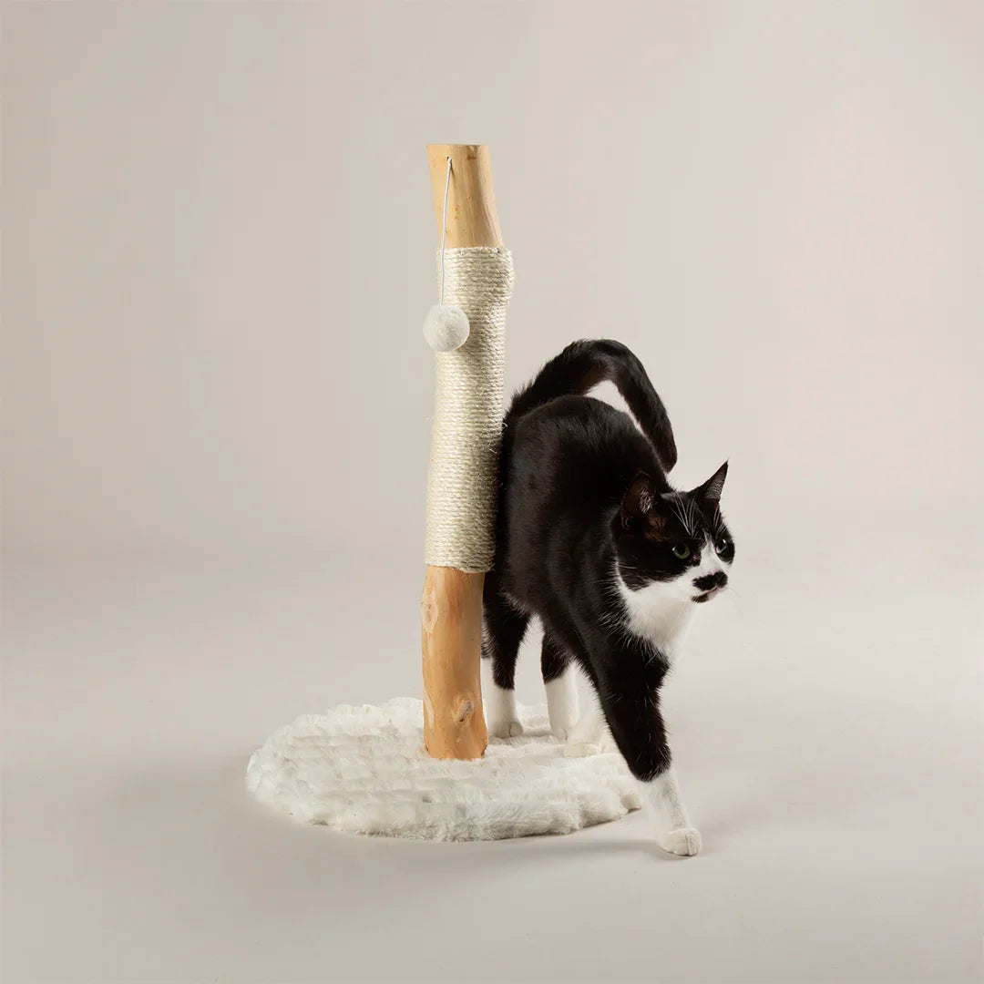 Black cat rubbing against Scruffs Alpine Rockies cat scratching post in cream