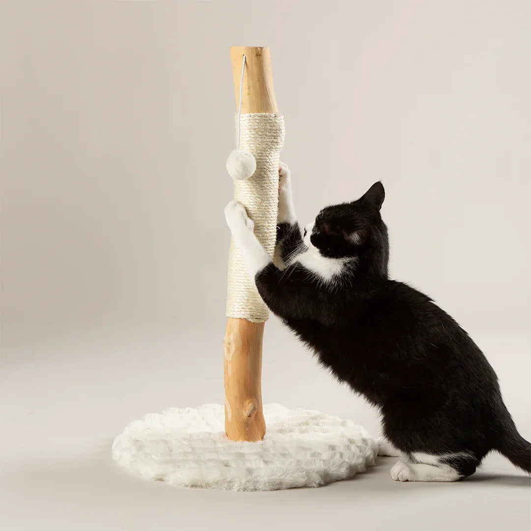 Black cat playing with Scruffs Alpine Rockies cat scratching post in cream
