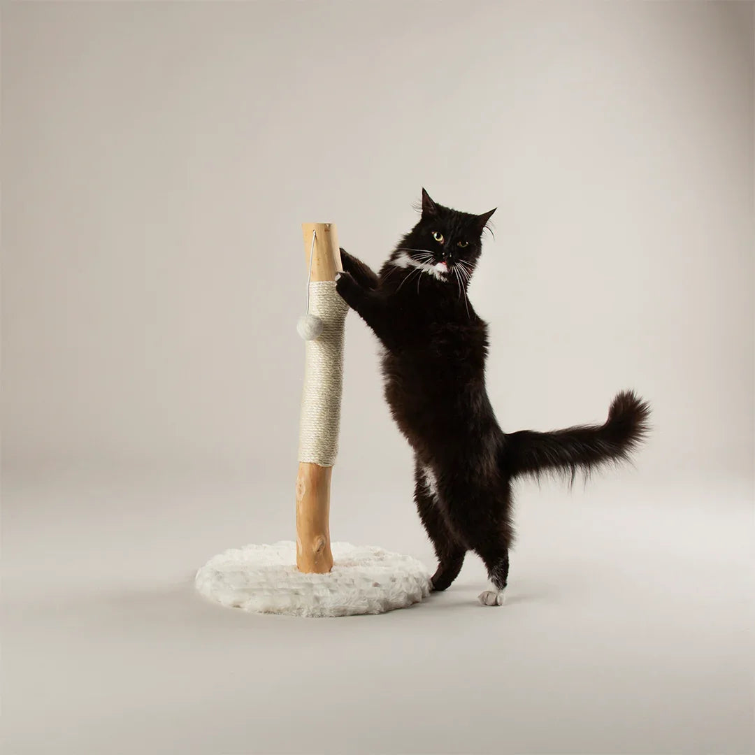 Black cat stretching on Scruffs Alpine Rockies cat scratching post in cream