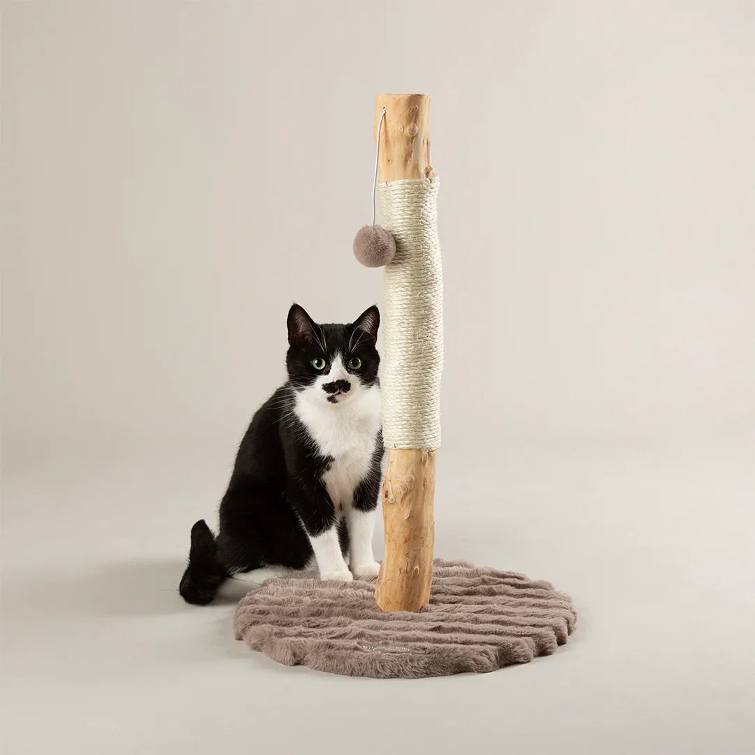 Black cat sitting beside Scruffs Alpine Rockies cat scratching post in taupe