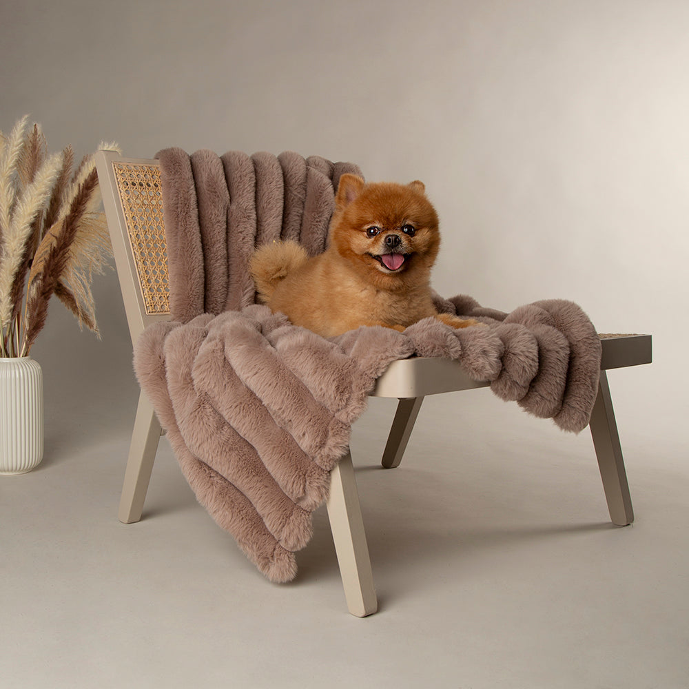 Taupe faux fur blanket draped over a wooden chair.