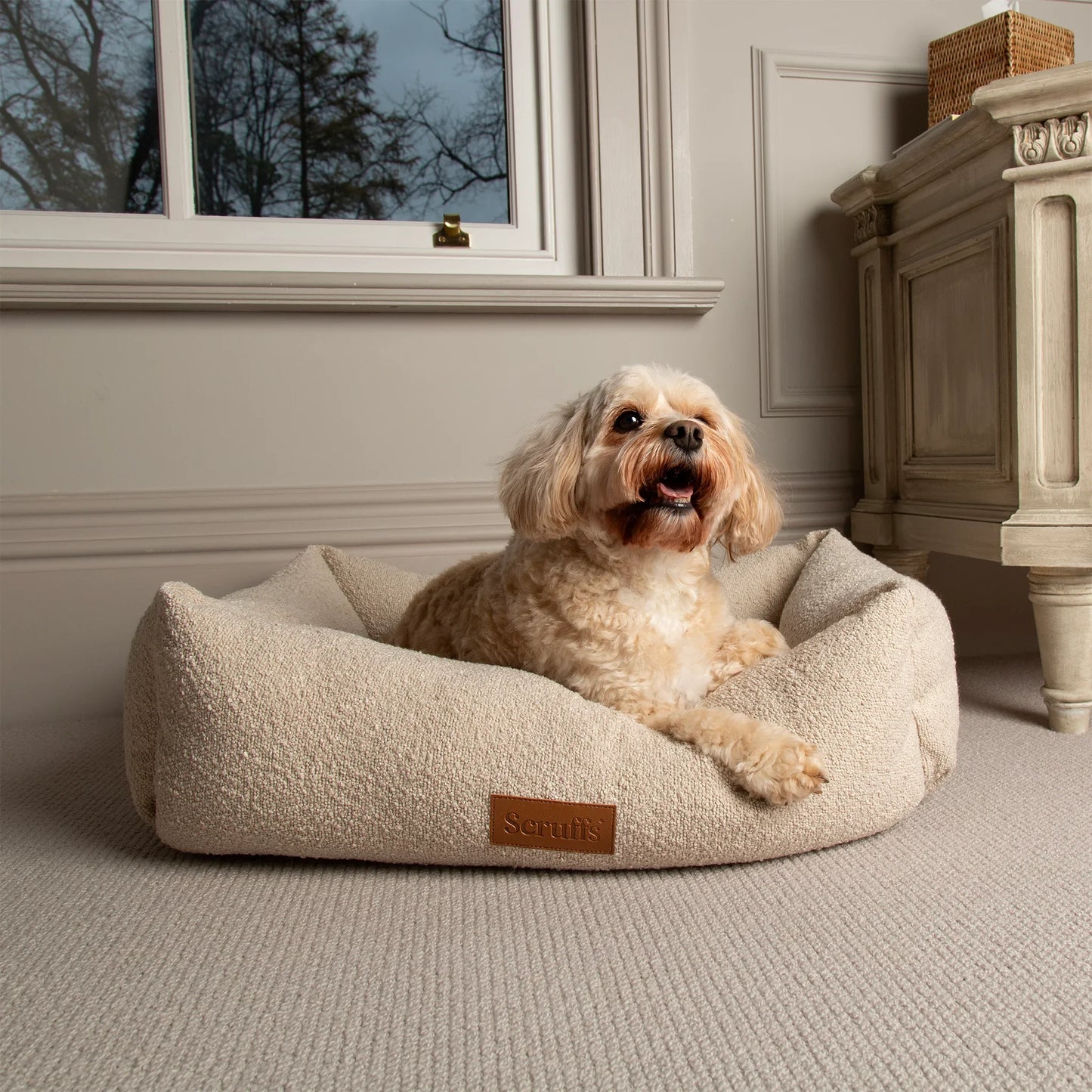 Small dog relaxing in ivory boucle box dog bed in bedroom setting