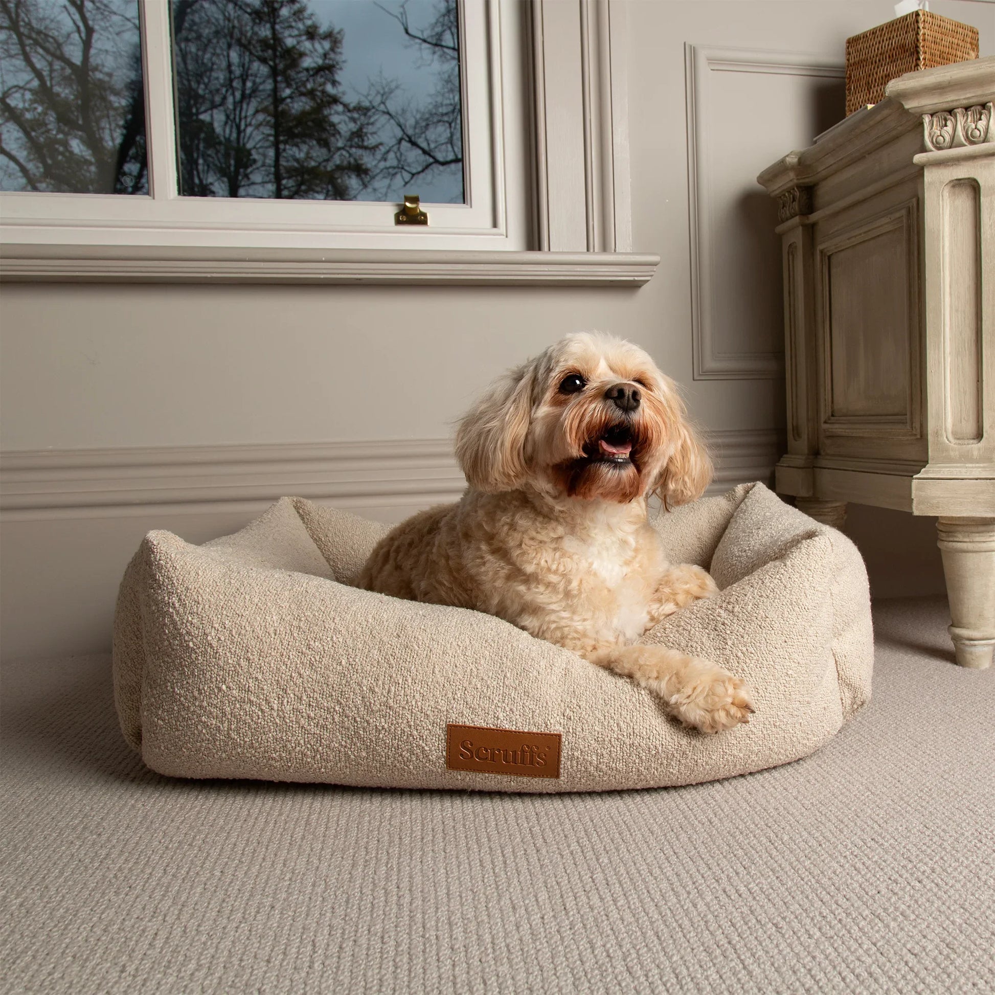 Small dog relaxing in ivory boucle box dog bed in bedroom setting