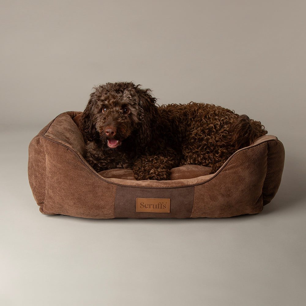 Scruffs Chester box dog bed suitable for medium dogs
