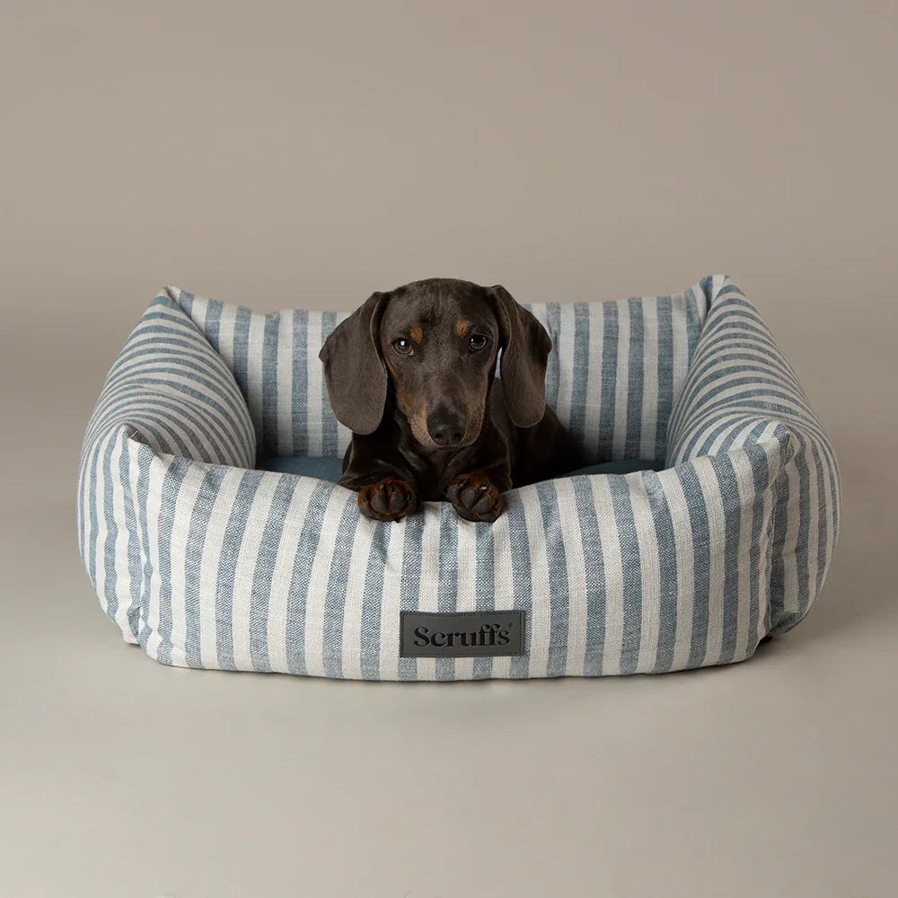 Scruffs Coastal blue striped box dog bed with dachshund lying inside
