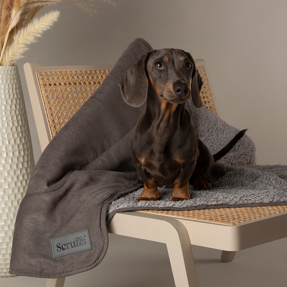 Scruffs Cosy Collection dog blanket with faux suede side draped over chair