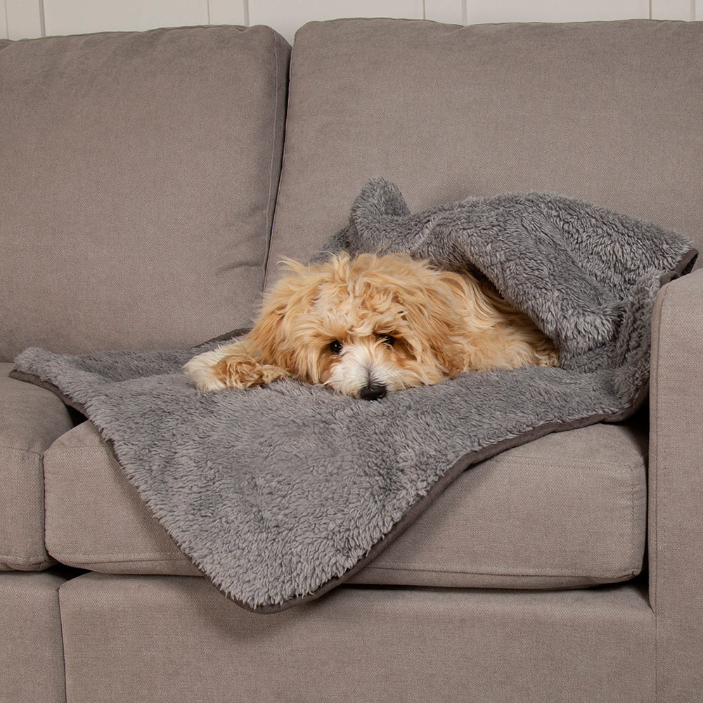 Grey dog blanket with plush lining used on sofa