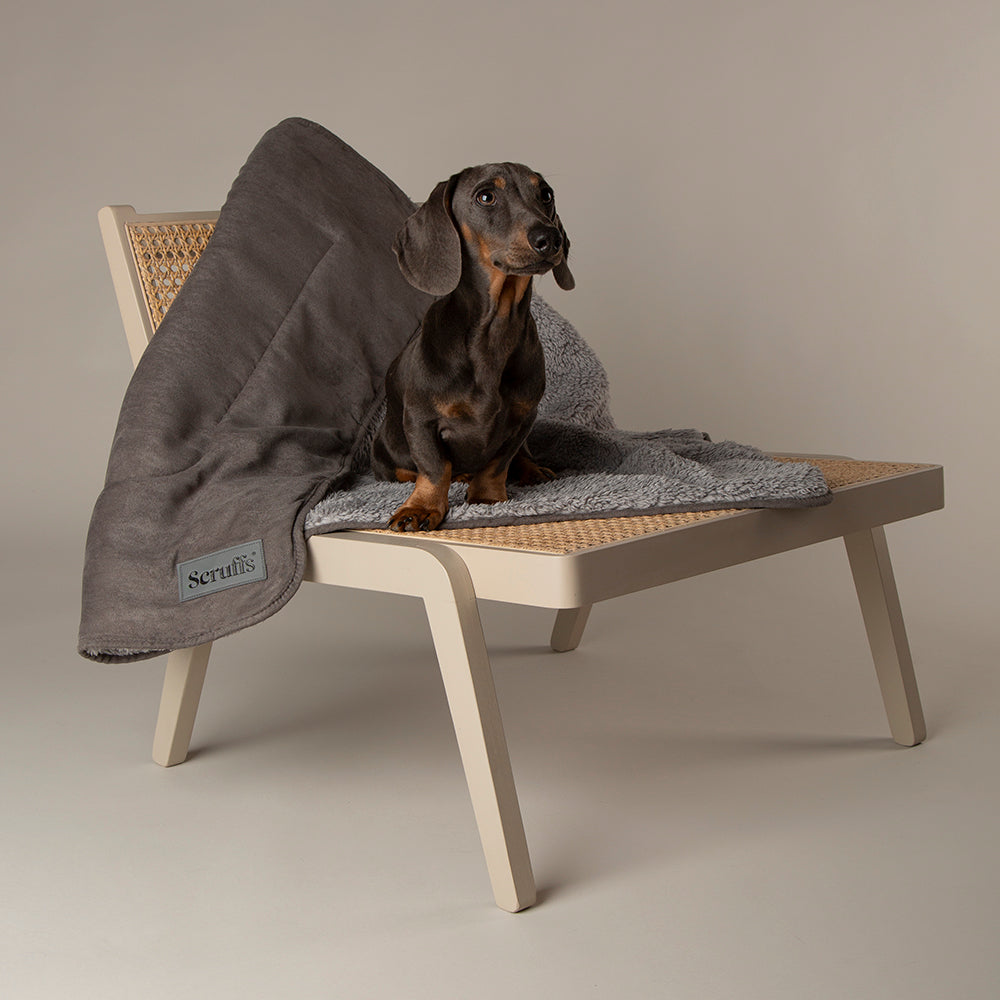 Scruffs Cosy Collection dog blanket showing plush lining for warmth