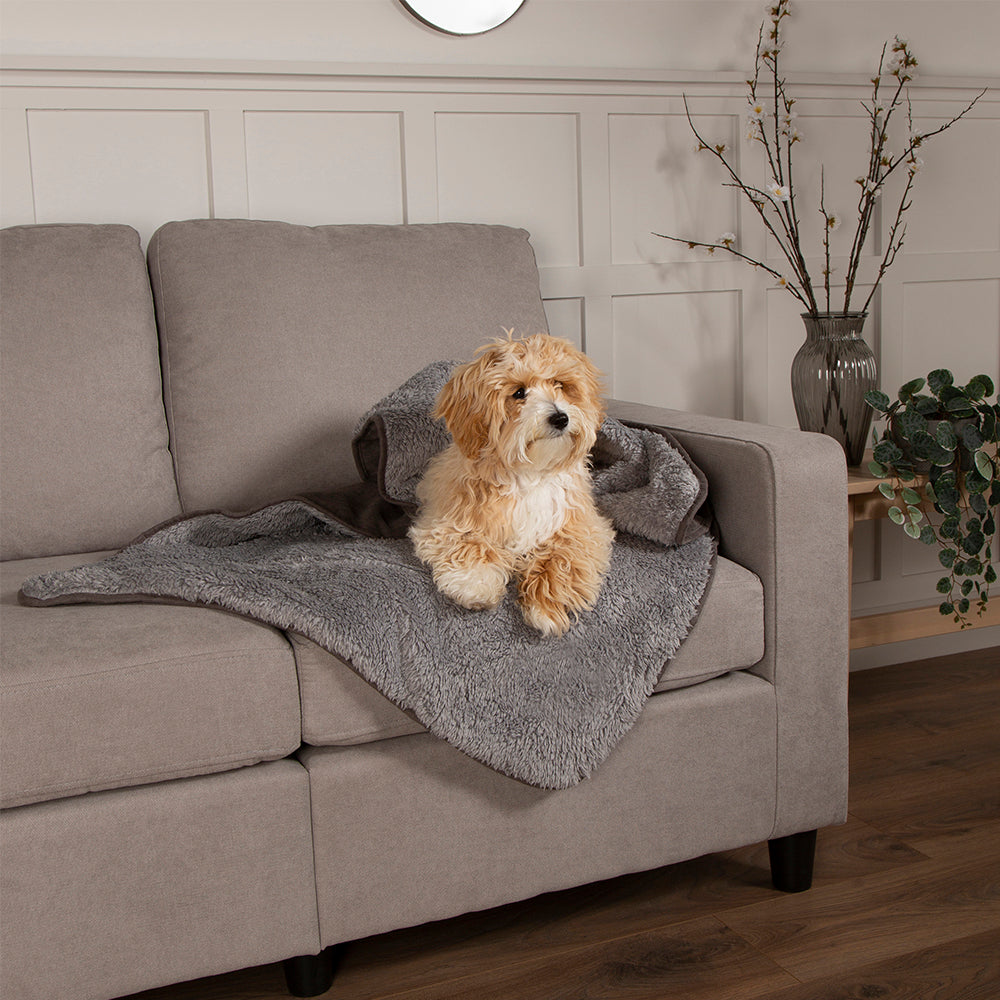 Dog blanket placed on sofa for everyday use