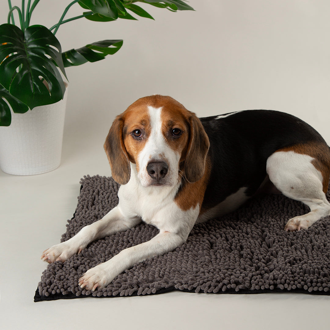 Scruffs dog drying mat used indoors after walks to absorb moisture