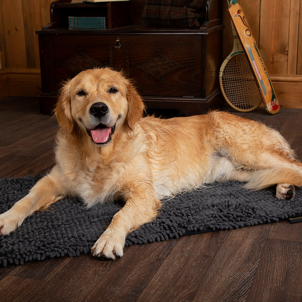 Scruffs dog drying mat absorbing moisture from wet dog indoors