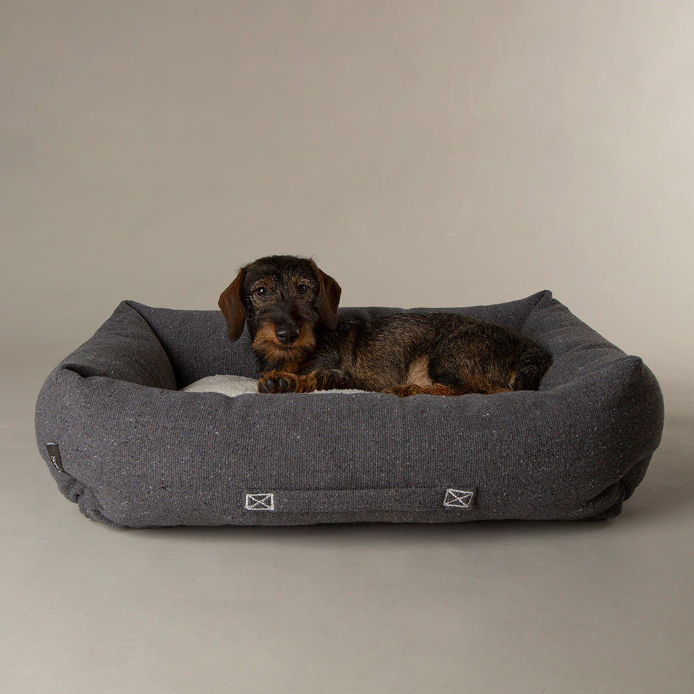 Small dog lying in Scruffs Eden box dog bed charcoal with padded bolster edges