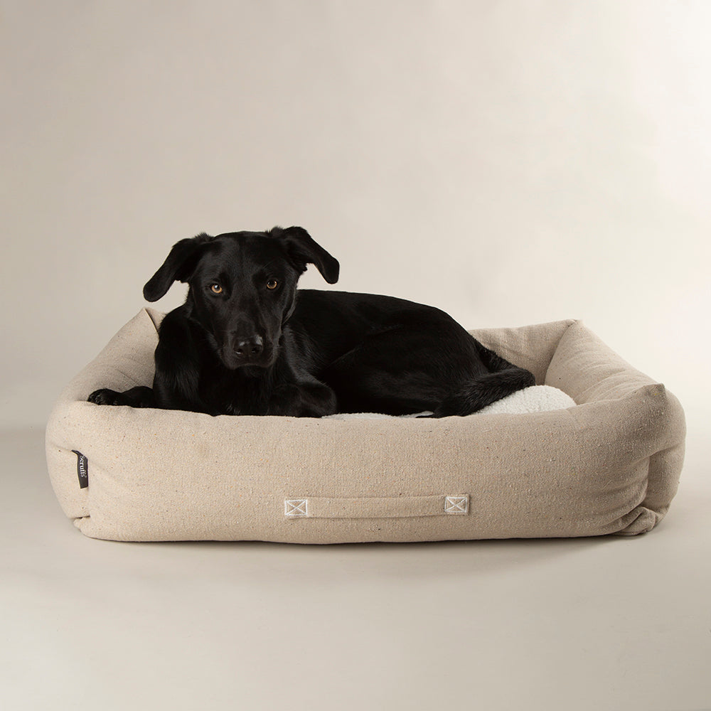 Black dog resting in Scruffs Eden box dog bed cream with raised bolster walls