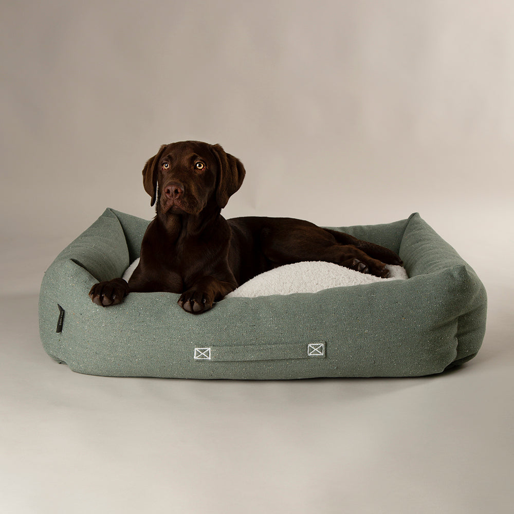 Dog lying in Scruffs Eden box dog bed sage green with supportive bolster sides