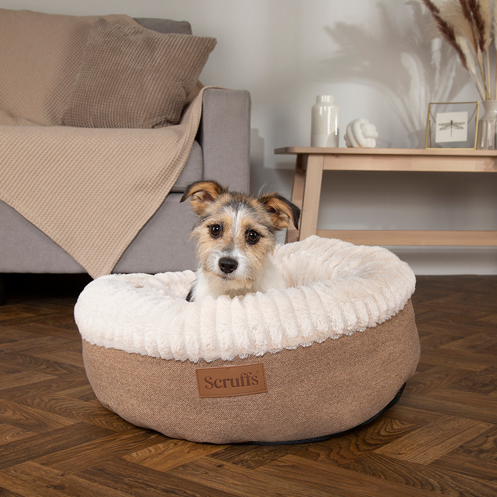 Scruffs Ellen donut dog bed in terracotta red on a plain background.