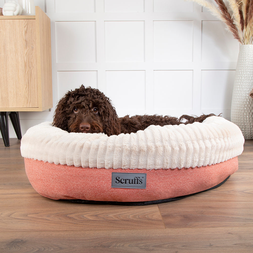 Dog lying in the terracotta red Scruffs Ellen donut bed in a home setting.