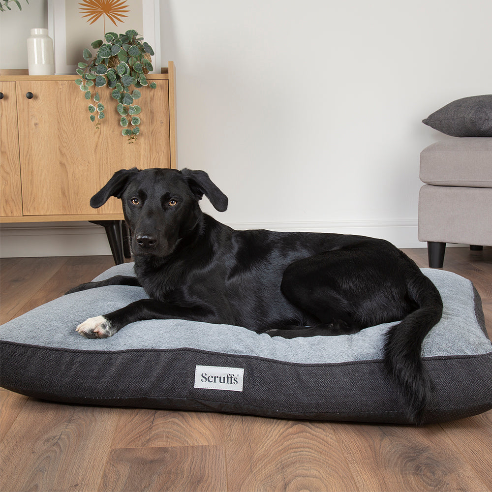 Large dog relaxing on graphite Scruffs Harvard memory foam dog mattress on wooden floor