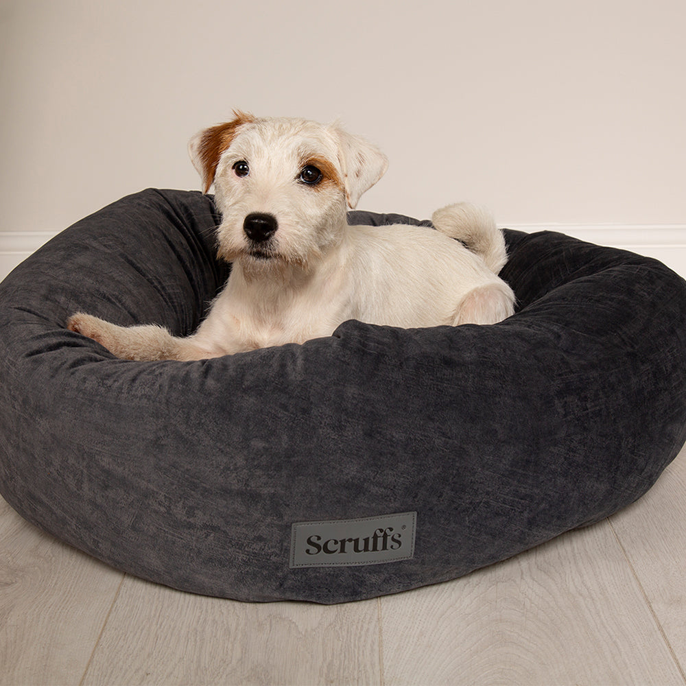 Dog resting in Scruffs Oslo donut dog bed in stone grey