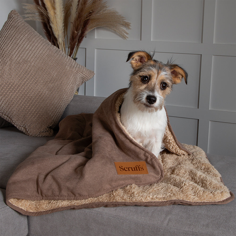 Puppy wrapped in a Scruffs snuggle blanket in caramel brown on a sofa