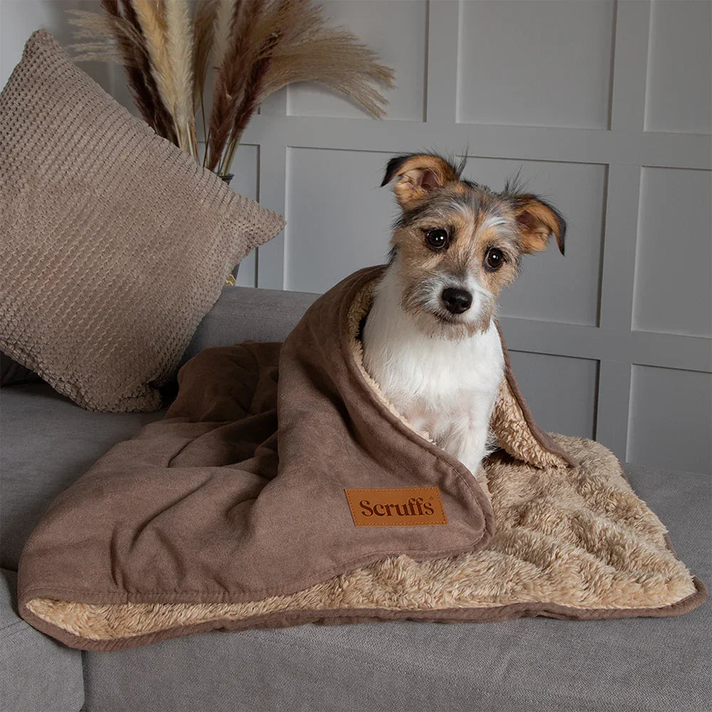 Dog relaxing on a caramel brown Scruffs Snuggle dog blanket