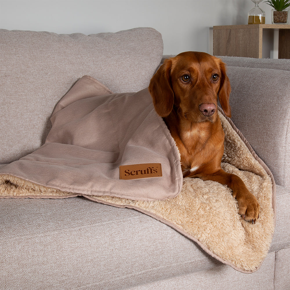 Dog lying on a Scruffs snuggle blanket in desert sand on a sofa