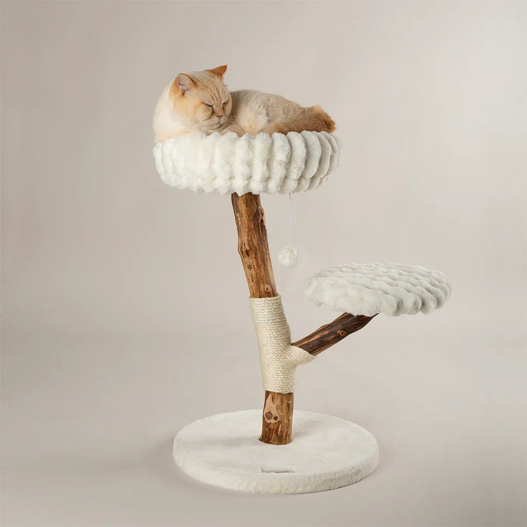 Scruffs Alpine Atlas cream cat tree with cushioned top bed and sisal scratching post