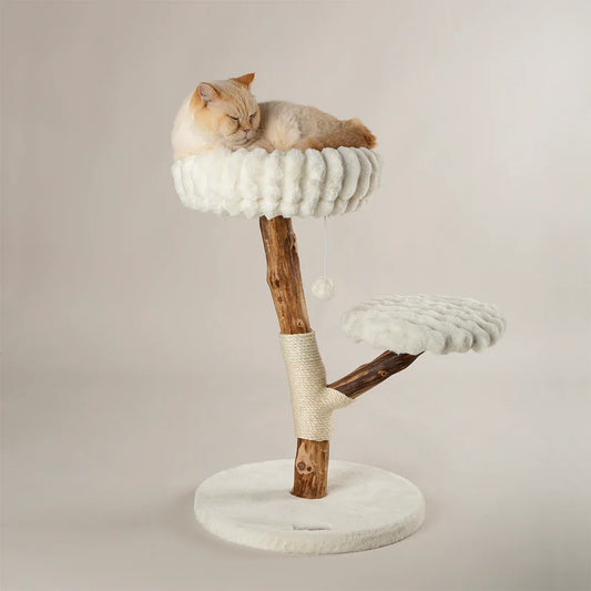 Cat tree in cream with cushioned top bed and sisal post